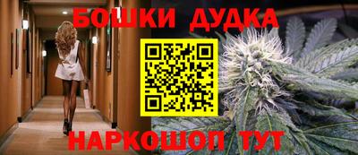 спиды Аргун