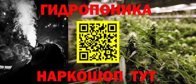спиды Аргун